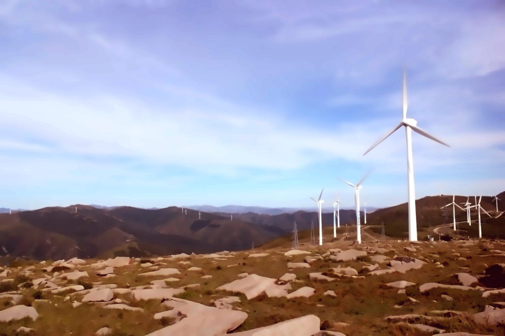 Séminaire en écologie évolutive — participants en discussion